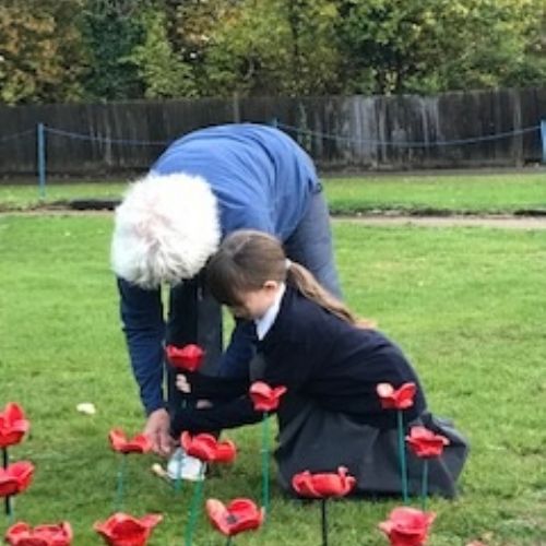 poppy 1